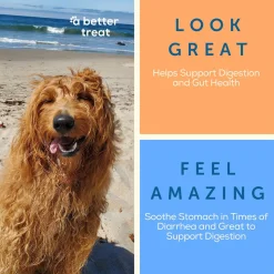 A Better Treat Freeze Dried Organic Treats for Dogs & Cats
