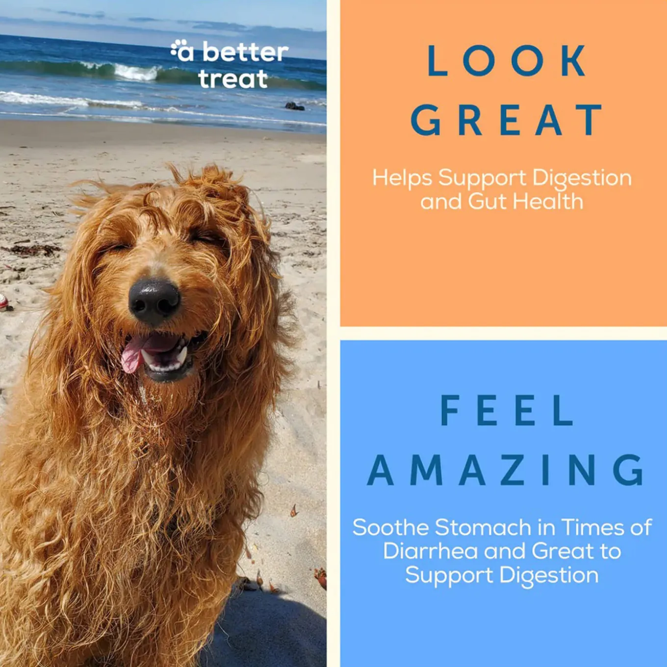 A Better Treat Freeze Dried Organic Treats for Dogs & Cats