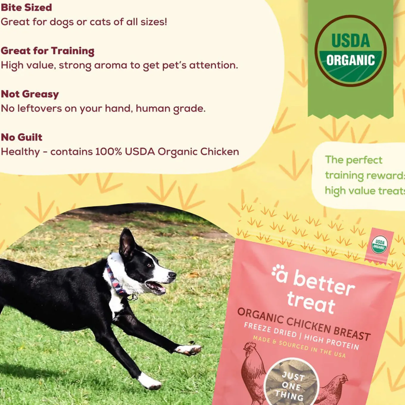 A Better Treat Freeze Dried Organic Treats for Dogs & Cats
