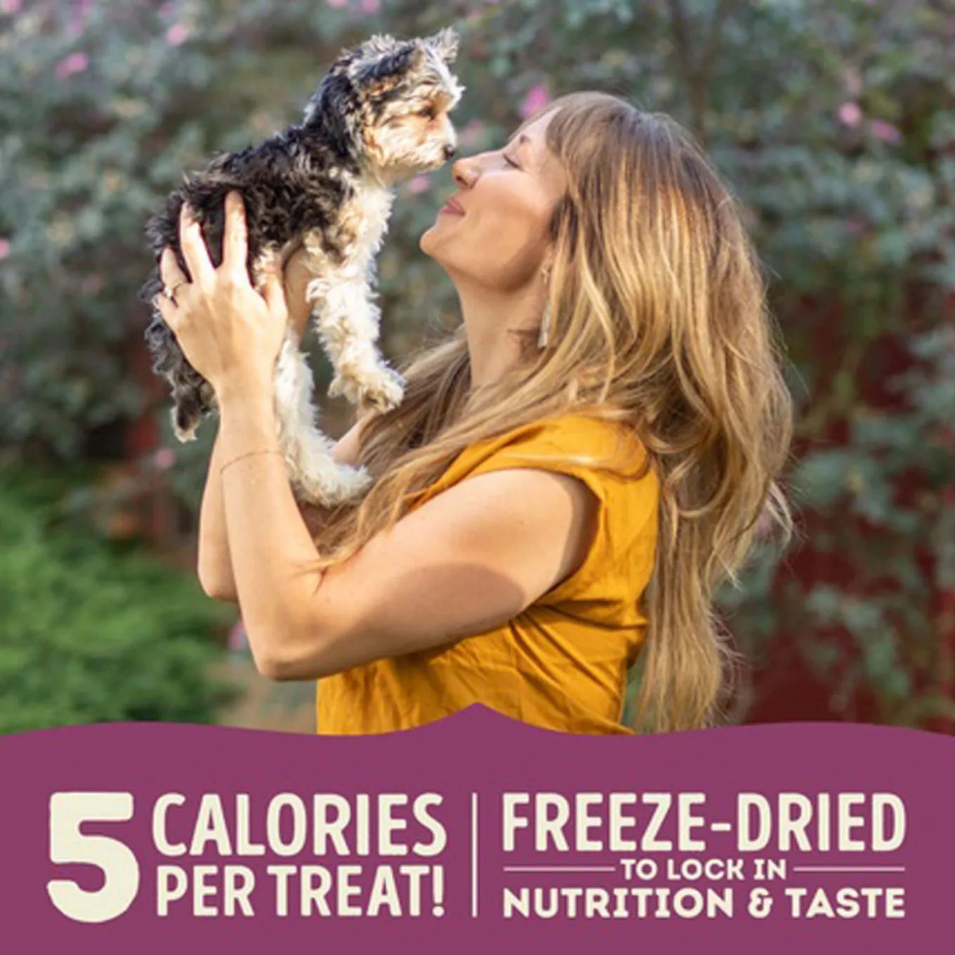 ACANA Singles Grain-Free Limited Ingredient Dog Treats