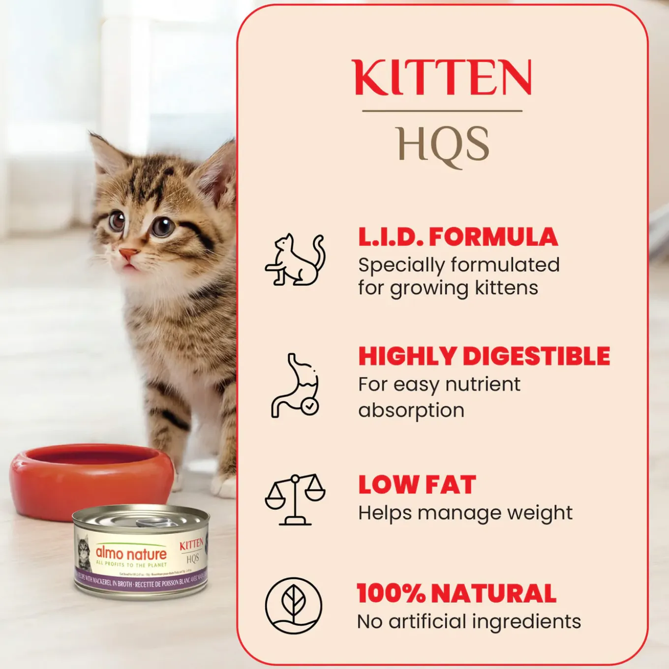 Almo Nature HQS Natural Wet Kitten Food Topper