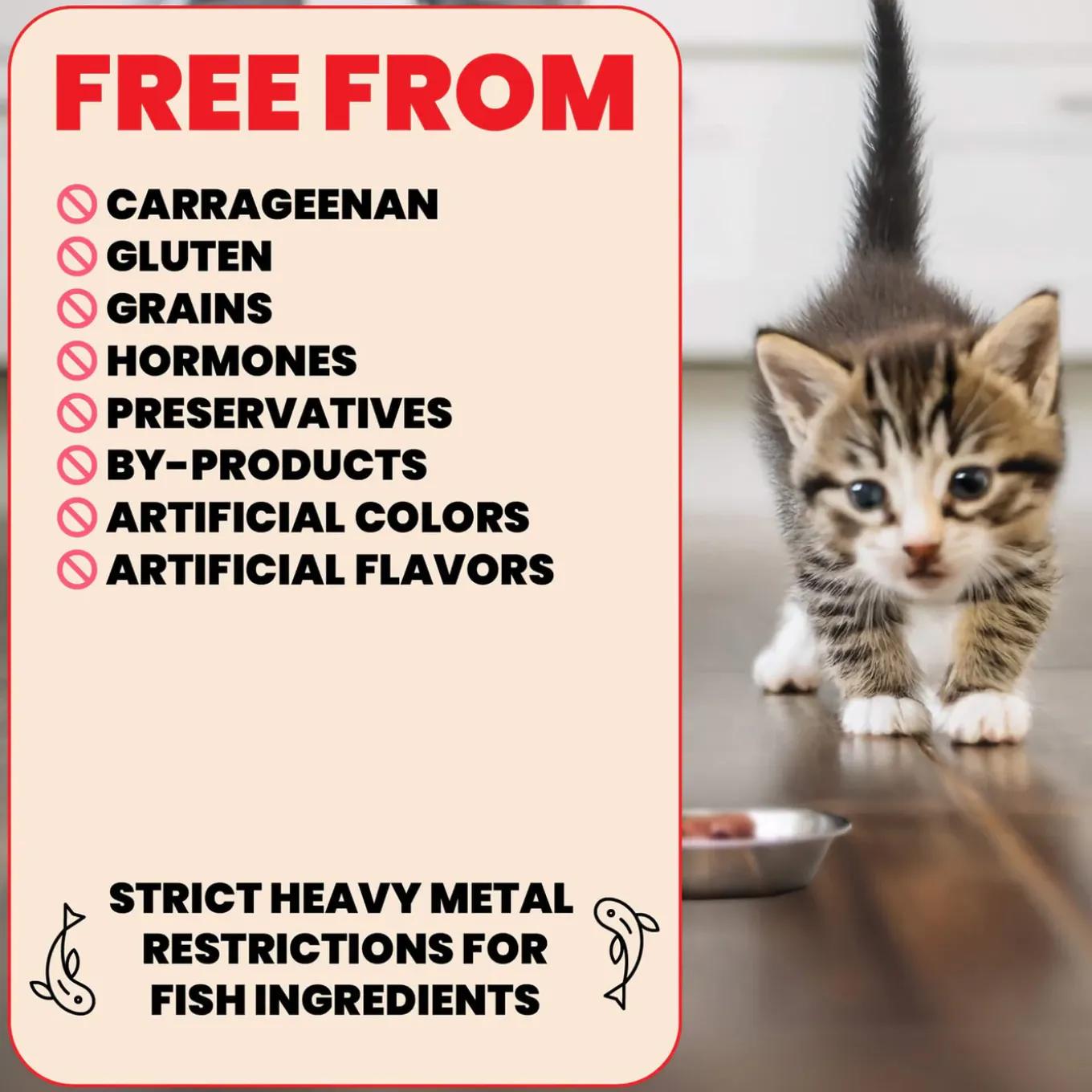 Almo Nature HQS Natural Wet Kitten Food Topper