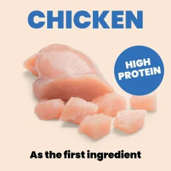 Almo Nature HQS Complete Wet Dog Food
