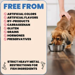 Almo Nature HQS Complete Wet Dog Food