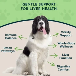 Animal Essentials Herbal Liver Defense Liquid for Dogs & Cats