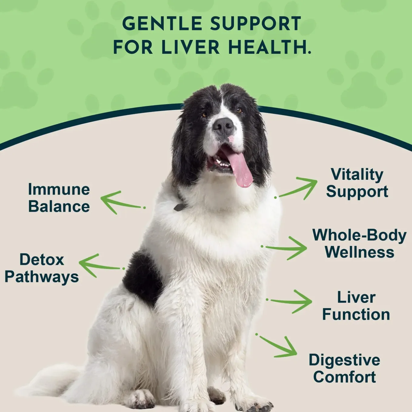 Animal Essentials Herbal Liver Defense Liquid for Dogs & Cats