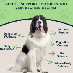 Animal Essentials Olive Leaf Herbal Extract Liquid for Dogs & Cats