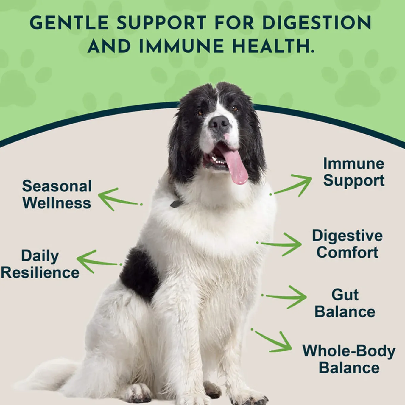 Animal Essentials Olive Leaf Herbal Extract Liquid for Dogs & Cats