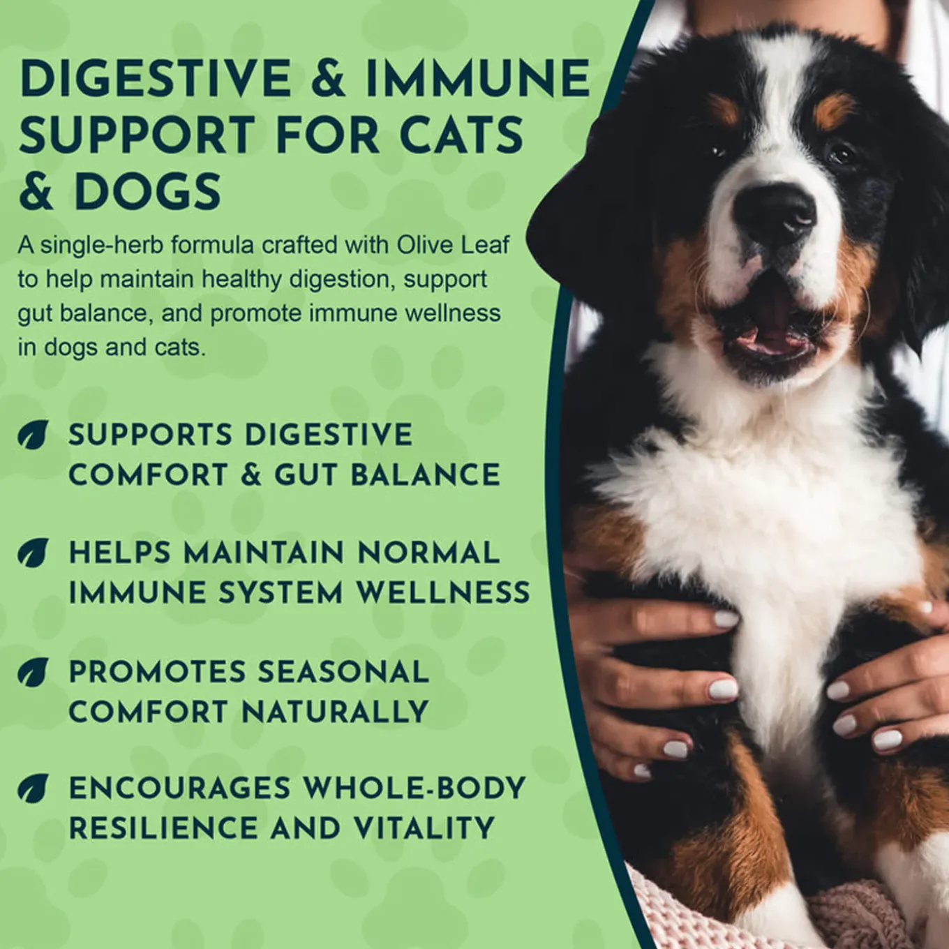 Animal Essentials Olive Leaf Herbal Extract Liquid for Dogs & Cats