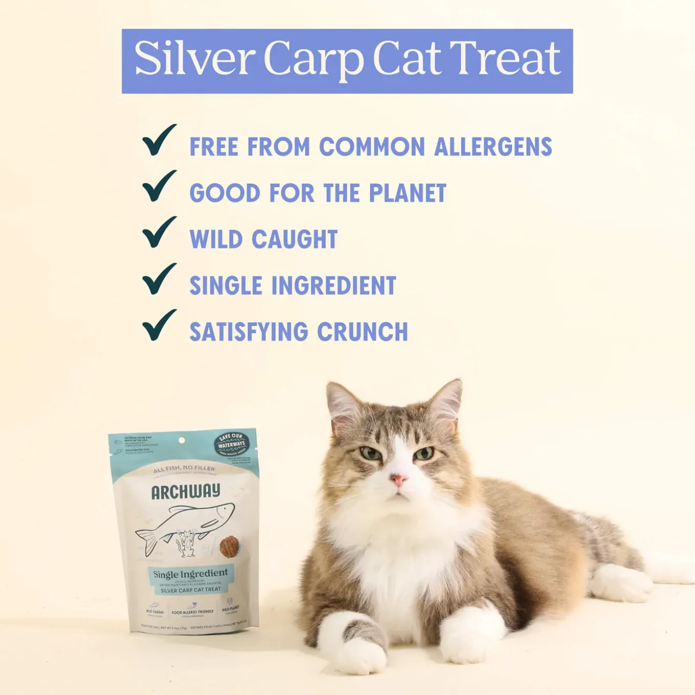 Archway Silver Carp Dehydrated Fish Treat for Cats
