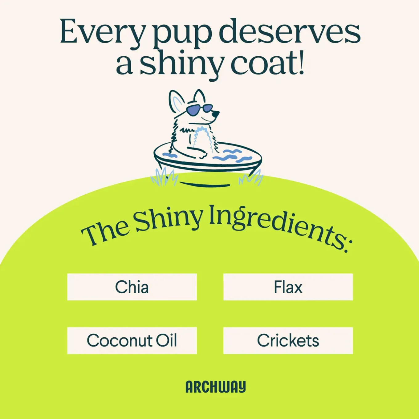 Archway Skin & Coat Health Functional Dog Treats