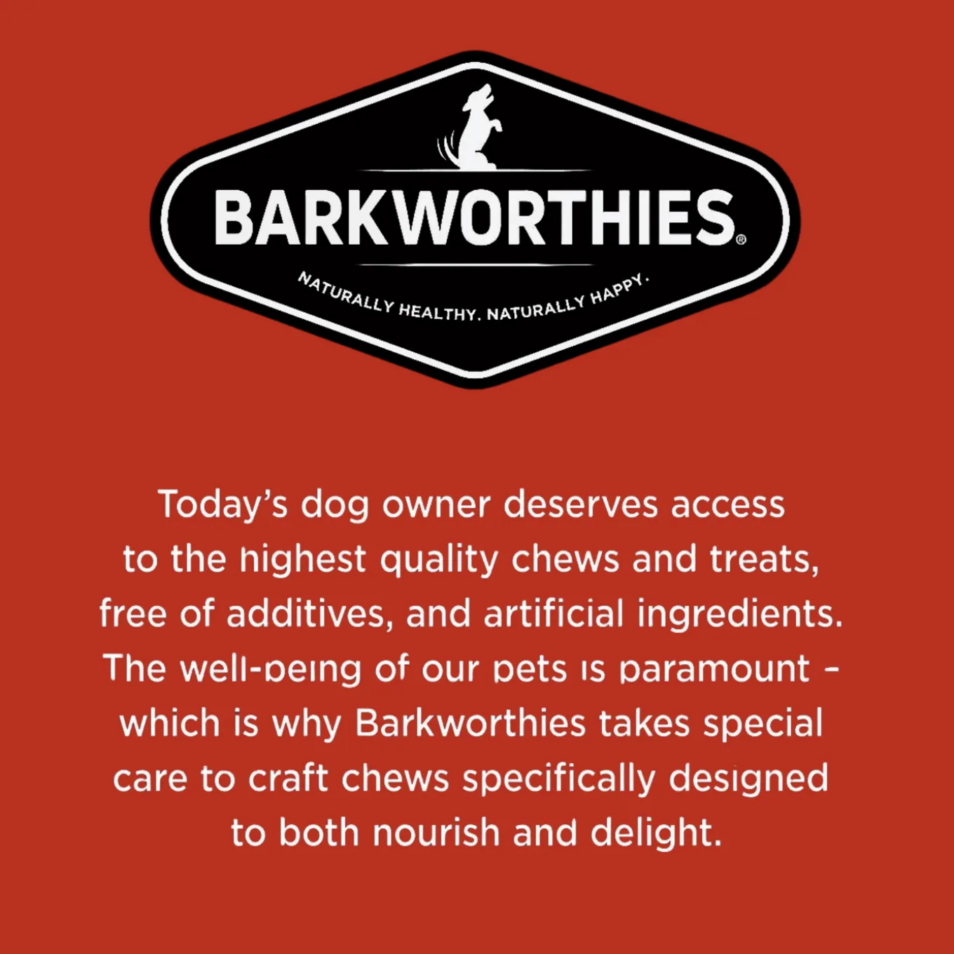 Barkworthies Naturally Smoked Braided Pork Pizzle Dog Chews