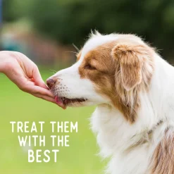 Beg & Barker Chips Single Ingredient Human Grade Dog Treats