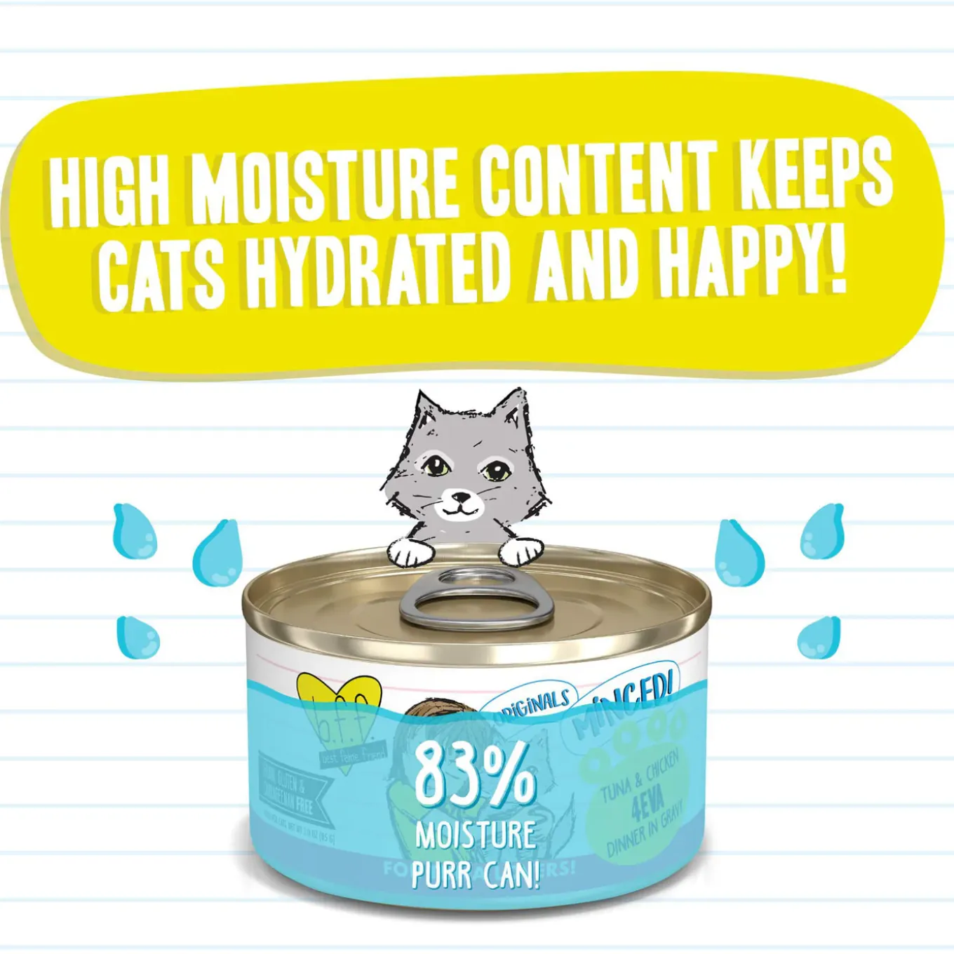 Best Feline Friend BFF Grain-Free Canned Wet Cat Food