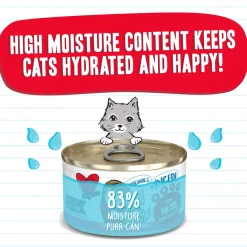Best Feline Friend BFF Grain-Free Canned Wet Cat Food