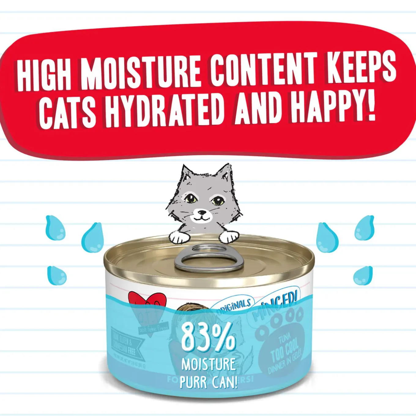 Best Feline Friend BFF Grain-Free Canned Wet Cat Food