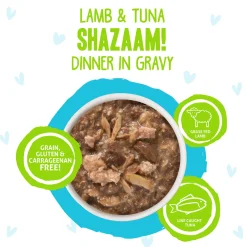 Best Feline Friend BFF Oh My Gravy! Grain-Free Wet Cat Food Pouches