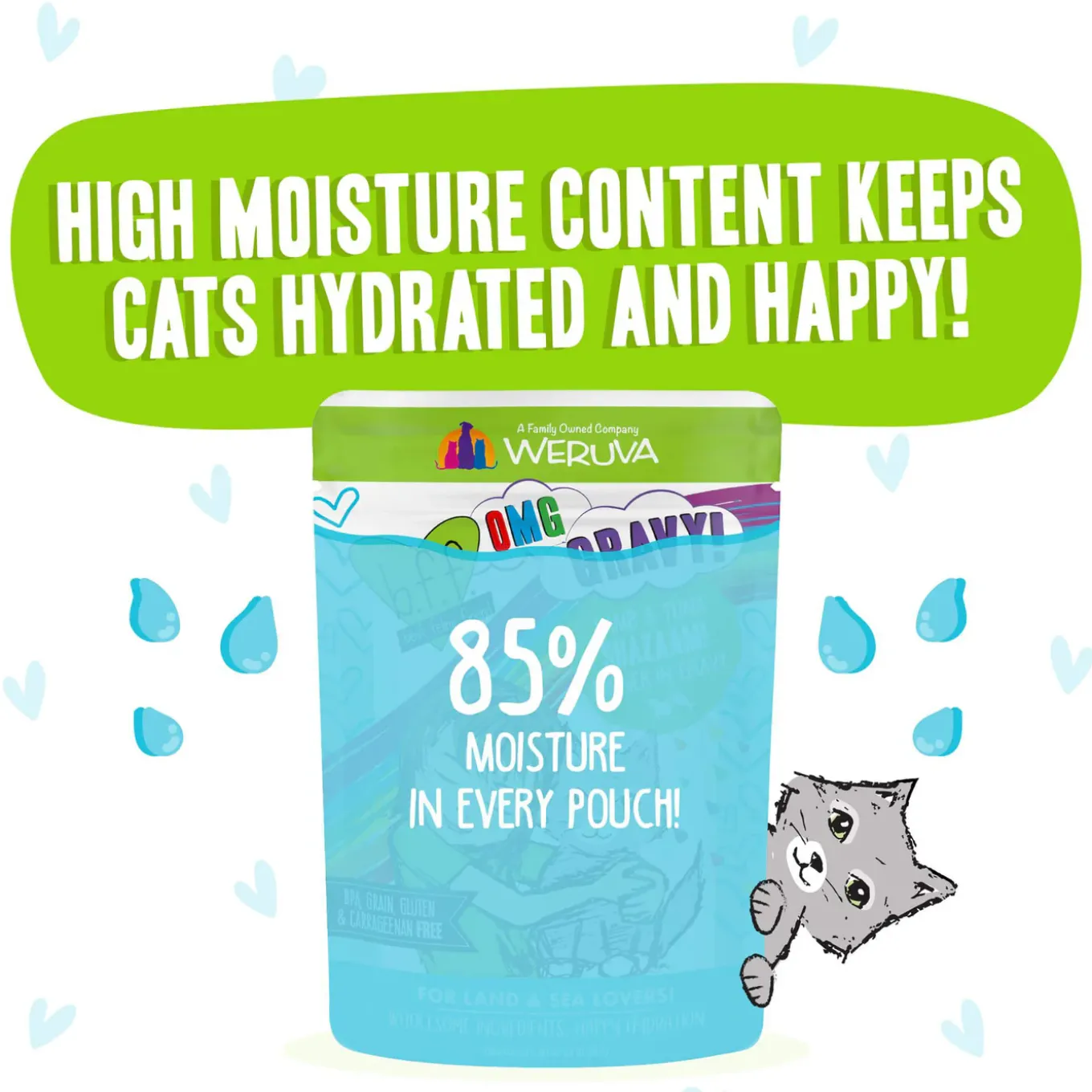 Best Feline Friend BFF Oh My Gravy! Grain-Free Wet Cat Food Pouches