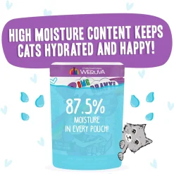 Best Feline Friend BFF Oh My Gravy! Grain-Free Wet Cat Food Pouches