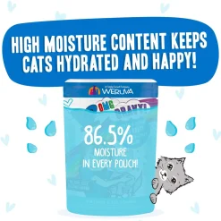Best Feline Friend BFF Oh My Gravy! Grain-Free Wet Cat Food Pouches
