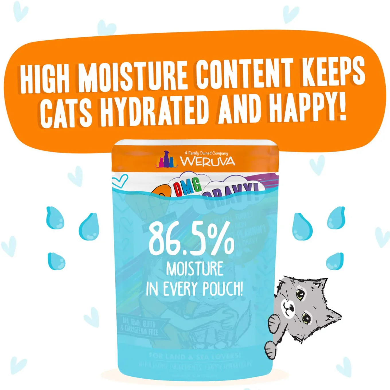 Best Feline Friend BFF Oh My Gravy! Grain-Free Wet Cat Food Pouches