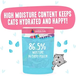 Best Feline Friend BFF Oh My Gravy! Grain-Free Wet Cat Food Pouches