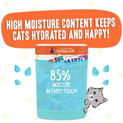 Best Feline Friend BFF Oh My Gravy! Grain-Free Wet Cat Food Pouches