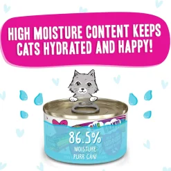 Best Feline Friend BFF Oh My Gravy! Grain-Free Wet Canned Cat Foods