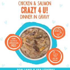 Best Feline Friend BFF Oh My Gravy! Grain-Free Wet Canned Cat Foods