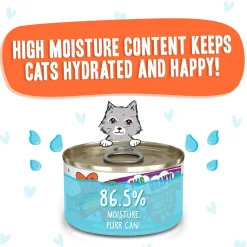 Best Feline Friend BFF Oh My Gravy! Grain-Free Wet Canned Cat Foods