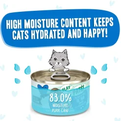 Best Feline Friend BFF PLAY! Pate Lover's Aw Yeah Wet Canned Cat Food