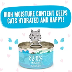 Best Feline Friend BFF PLAY! Pate Lover's Aw Yeah Wet Canned Cat Food