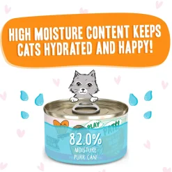 Best Feline Friend BFF PLAY! Pate Lover's Aw Yeah Wet Canned Cat Food