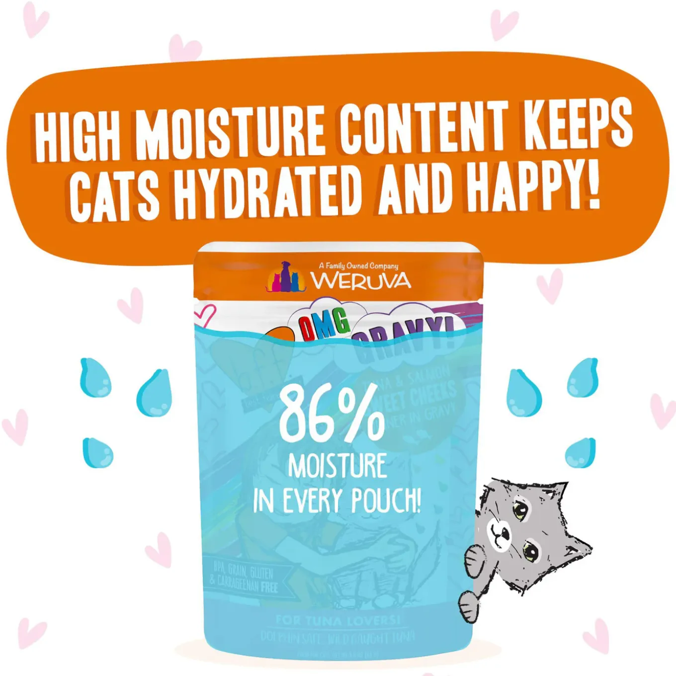 Best Feline Friend Grain-Free Cat Food Pouches