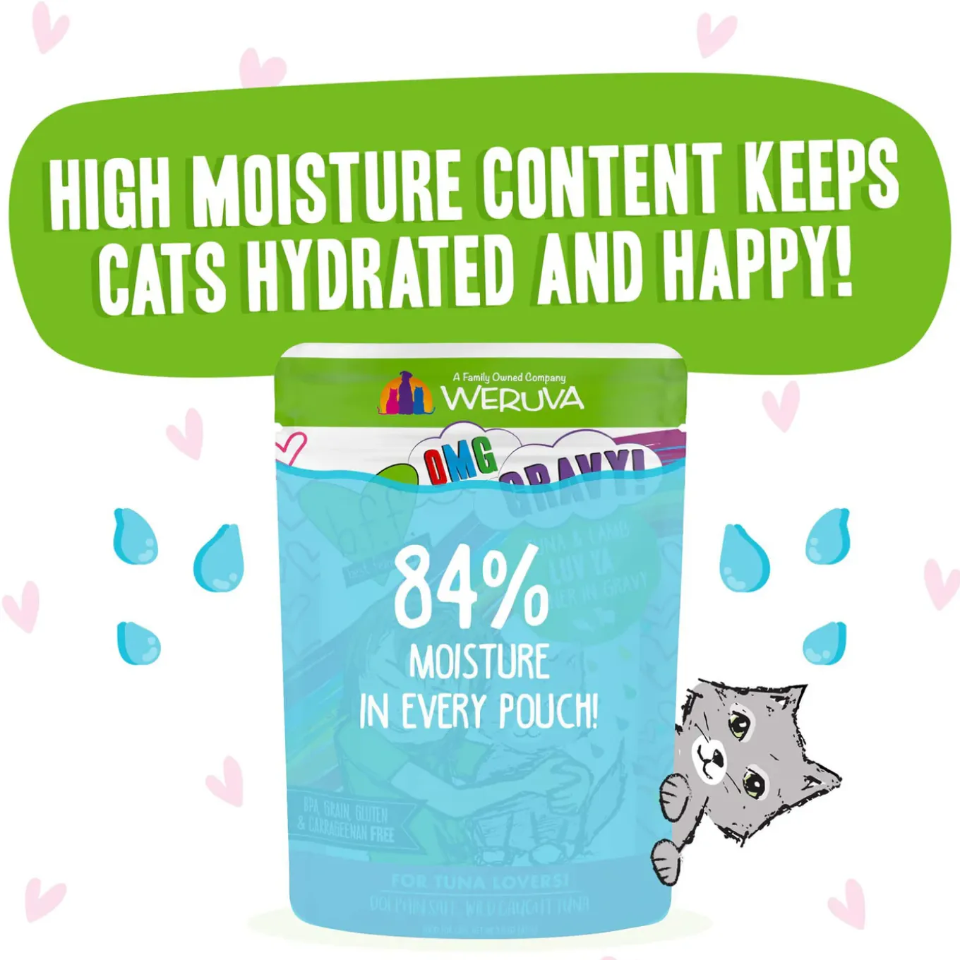Best Feline Friend Grain-Free Cat Food Pouches