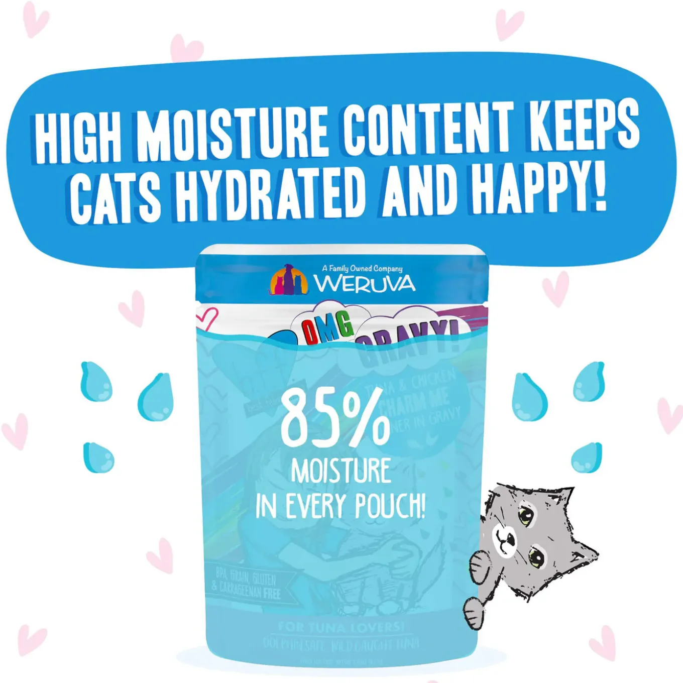 Best Feline Friend Grain-Free Cat Food Pouches