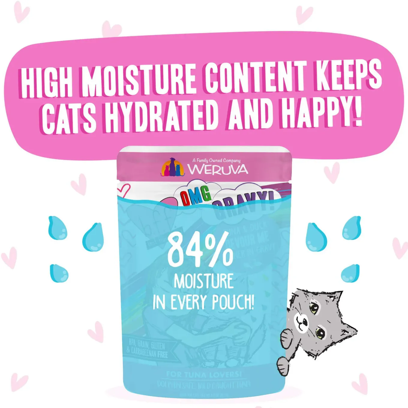 Best Feline Friend Grain-Free Cat Food Pouches