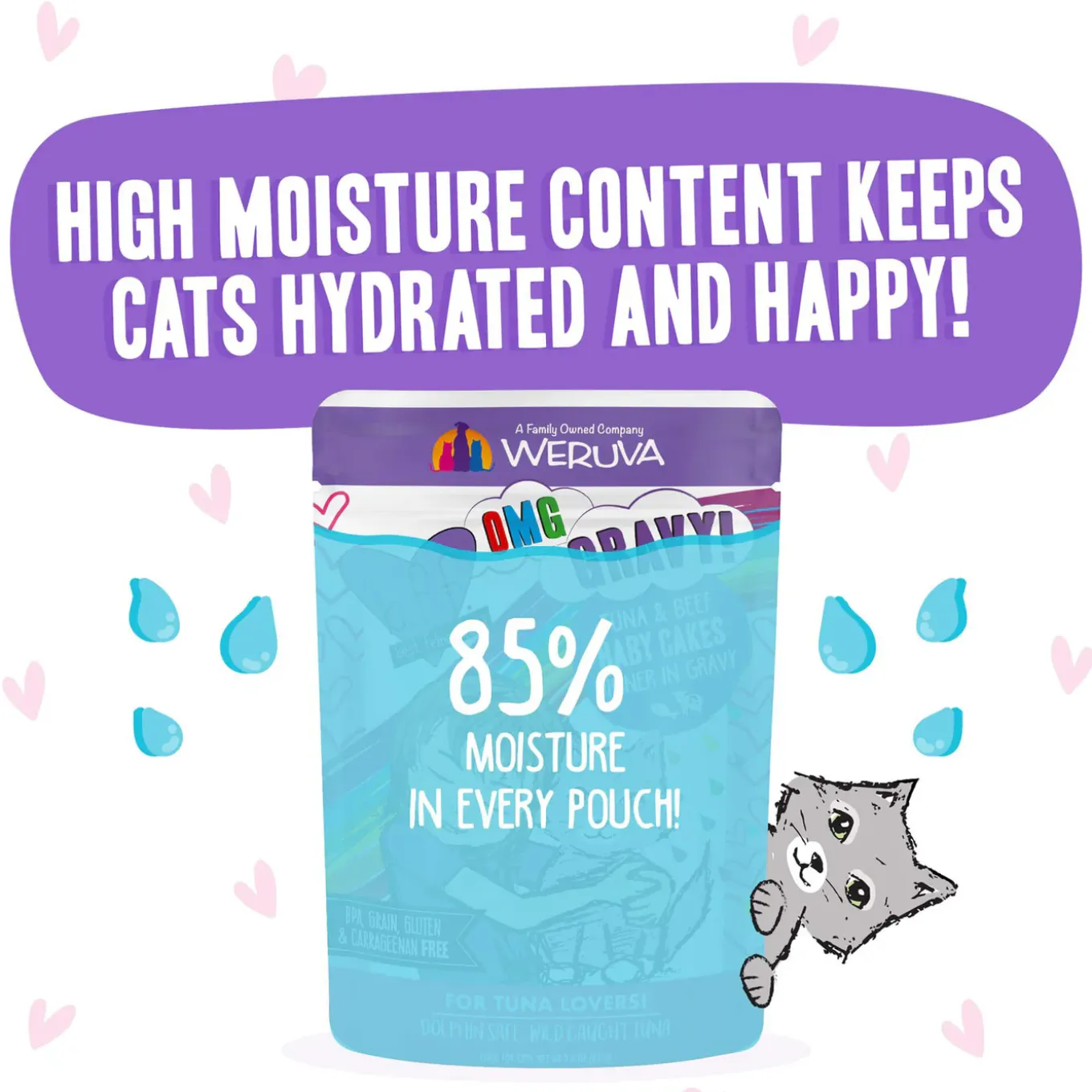 Best Feline Friend Grain-Free Cat Food Pouches