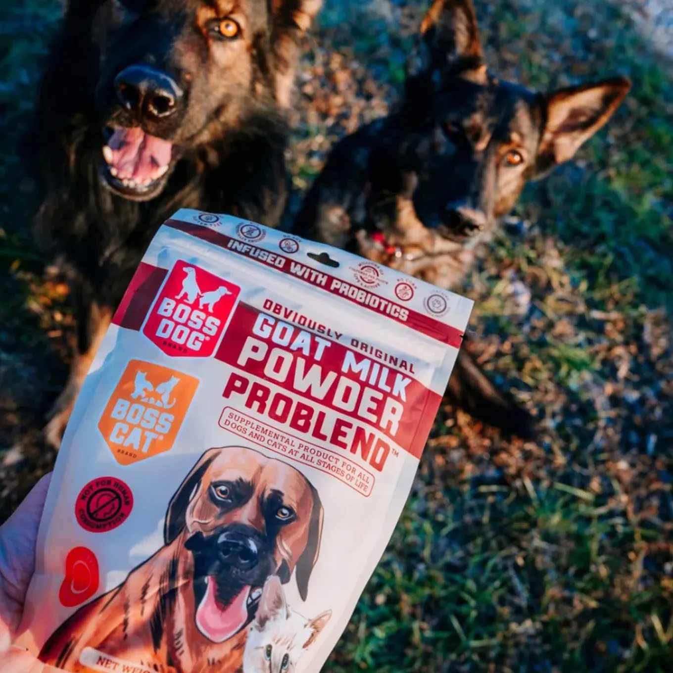 Boss Dog Goat Milk Powder Topper for Dogs