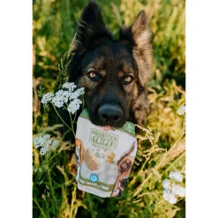 Boss Dog Freeze Dried Probites with Tripe for Dogs