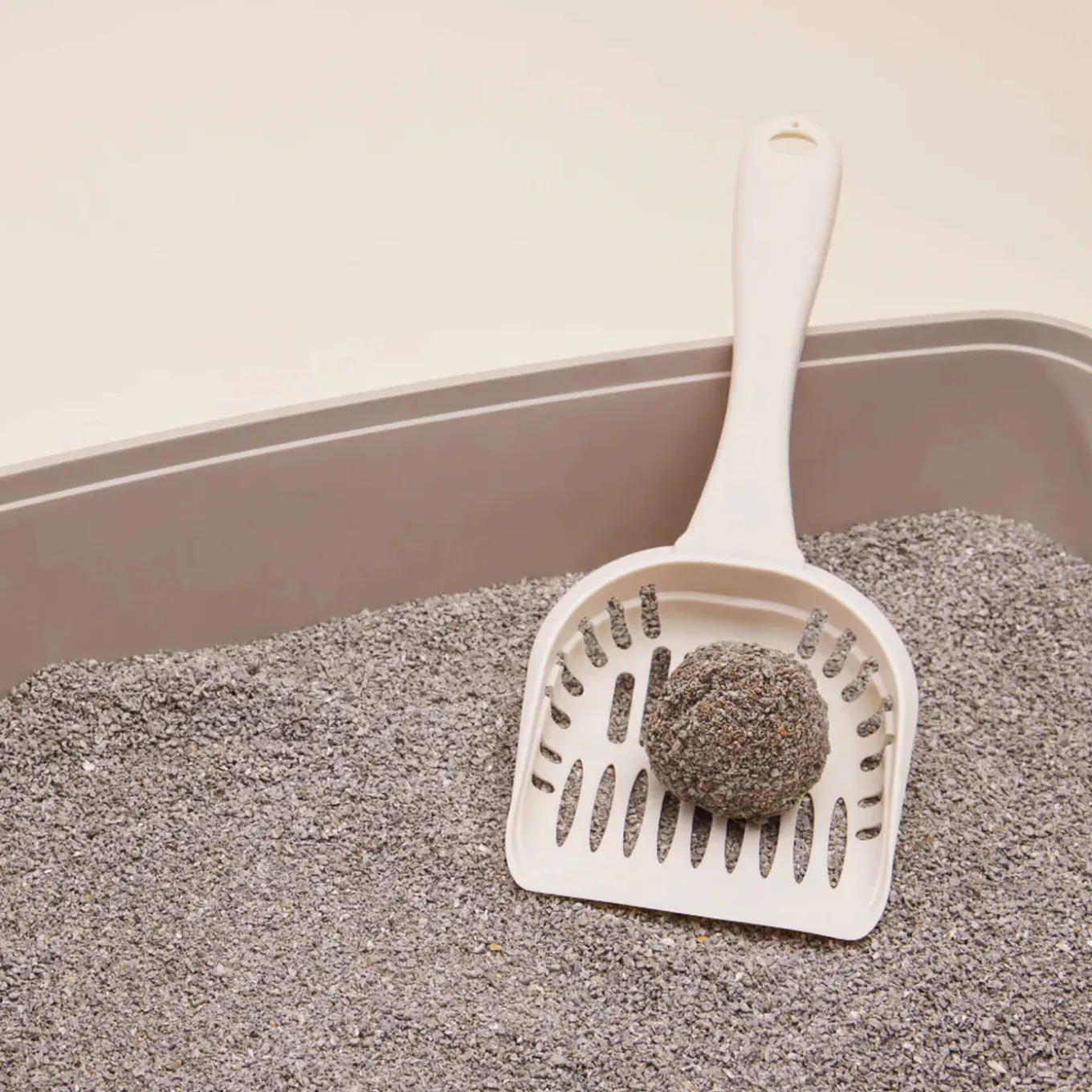 Boxiecat BoxiePro Air Probiotic Lightweight Plant-Based Clumping Litter