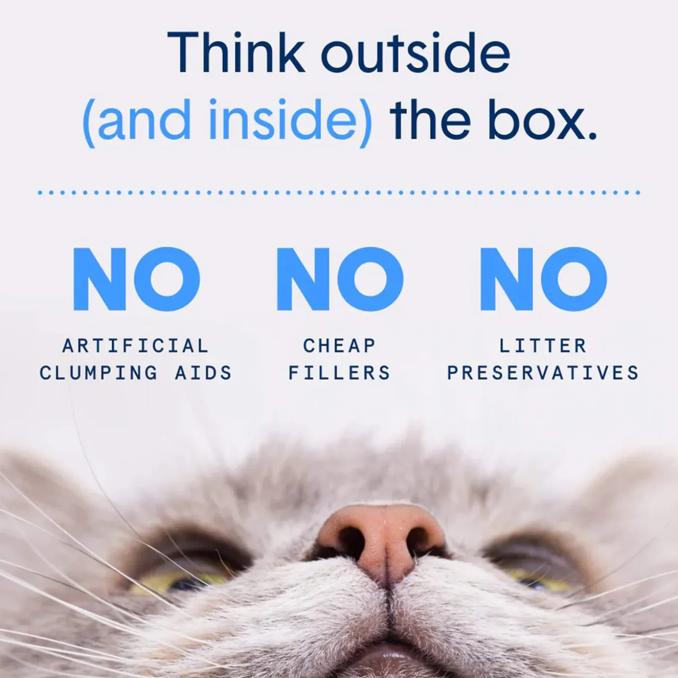 Boxiecat Cat Unscented Premium Clumping Clay Litter