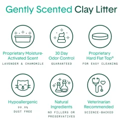 Boxiecat Gently Scented Natural Clumping Clay Cat Litter
