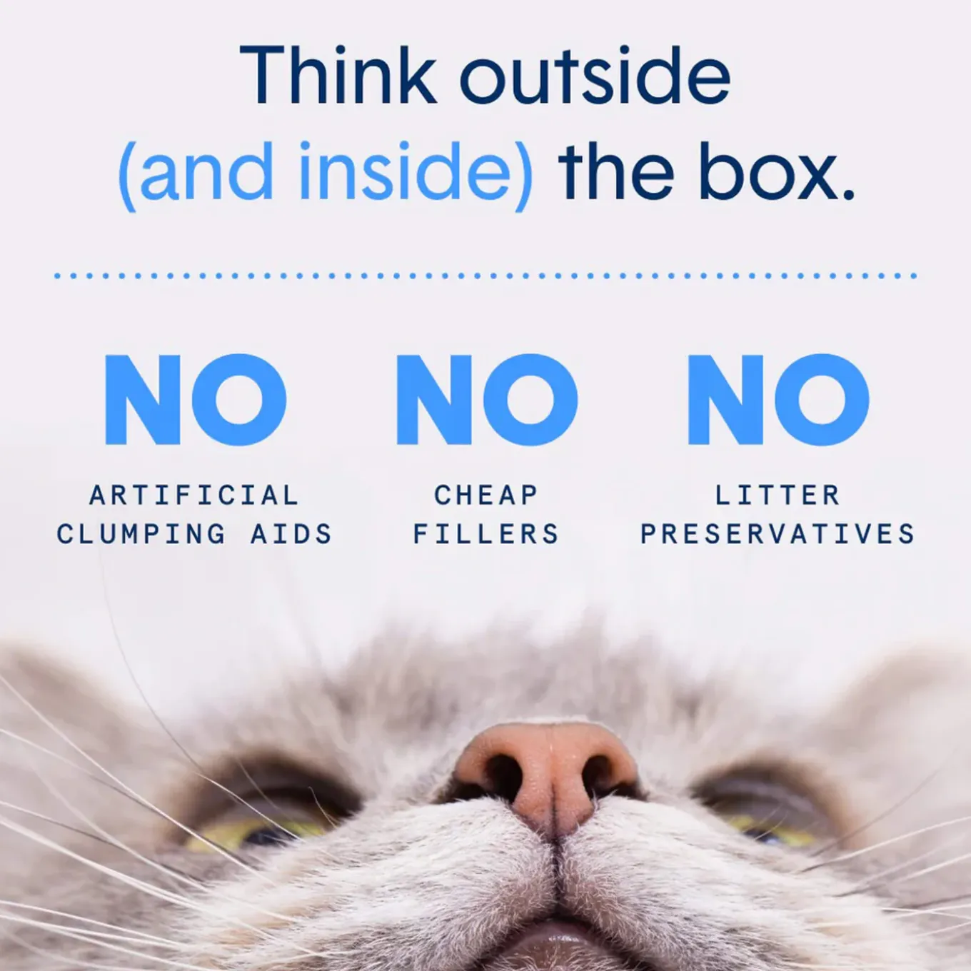 Boxiecat Gently Scented Natural Clumping Clay Cat Litter