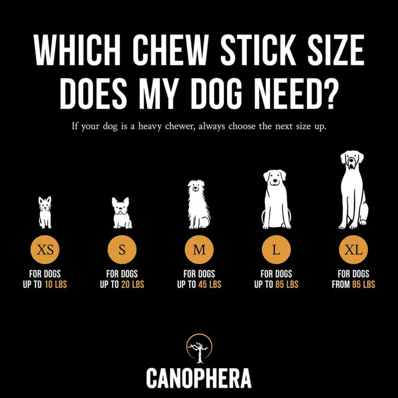 Canophera Coffee Wood Dog Chews