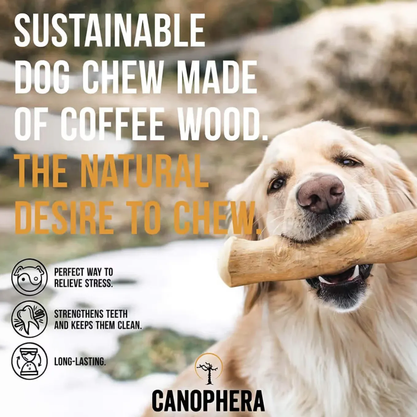 Canophera Coffee Wood Dog Chews