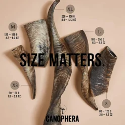 Canophera Sheep Horn Dog Chews