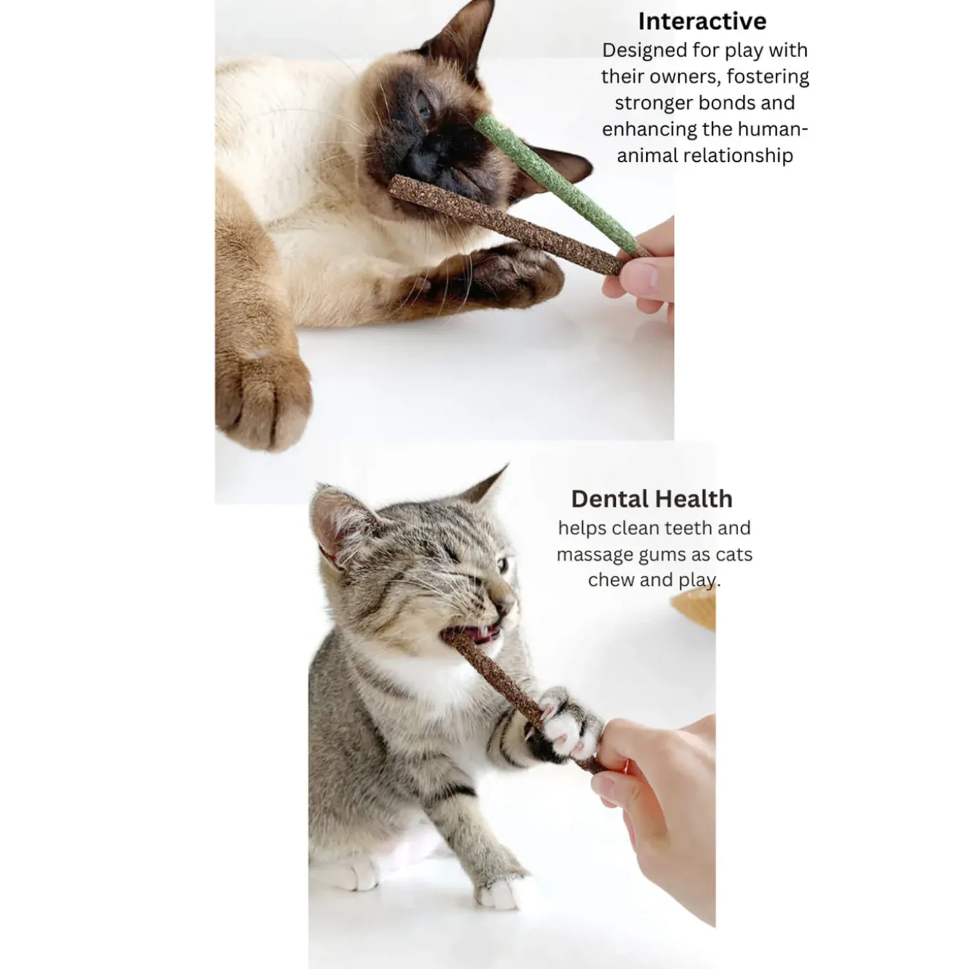 CATWANT Biscuit Sticks Cat Chew Treats
