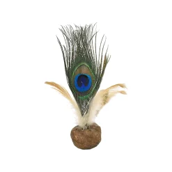 CATWANT Freeze Dried Gall Fruit Birdie Cat Toy