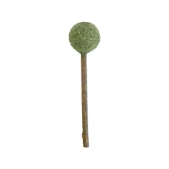 CATWANT Lollipops for Cats